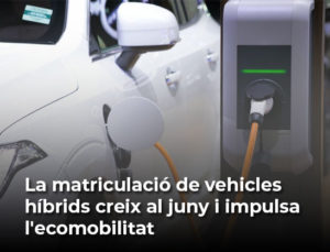 Read more about the article La matriculació de vehicles híbrids creix al juny i impulsa l’ecomobilitat