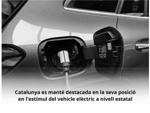 Read more about the article Catalunya es manté destacada en la seva posició en l’estímul del vehicle elèctric a nivell estatal