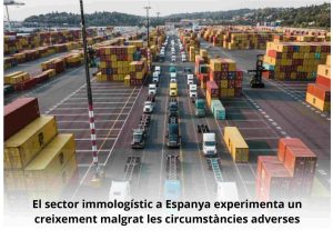 Read more about the article El sector immologístic a Espanya experimenta un creixement malgrat les circumstàncies adverses