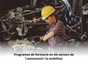 Read more about the article Programes de formació en els sectors de l’automoció i la mobilitat